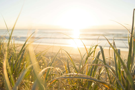 Morning Sunshine as a New Creation in Christ