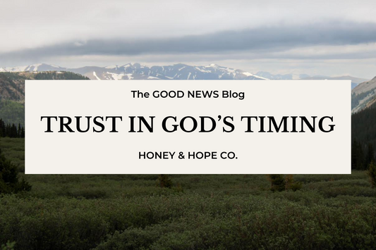 Trust In God's Timing