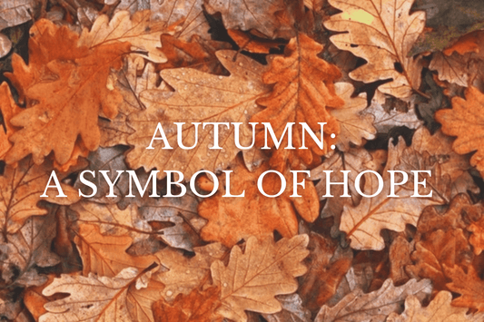Autumn: A Symbol Of Hope
