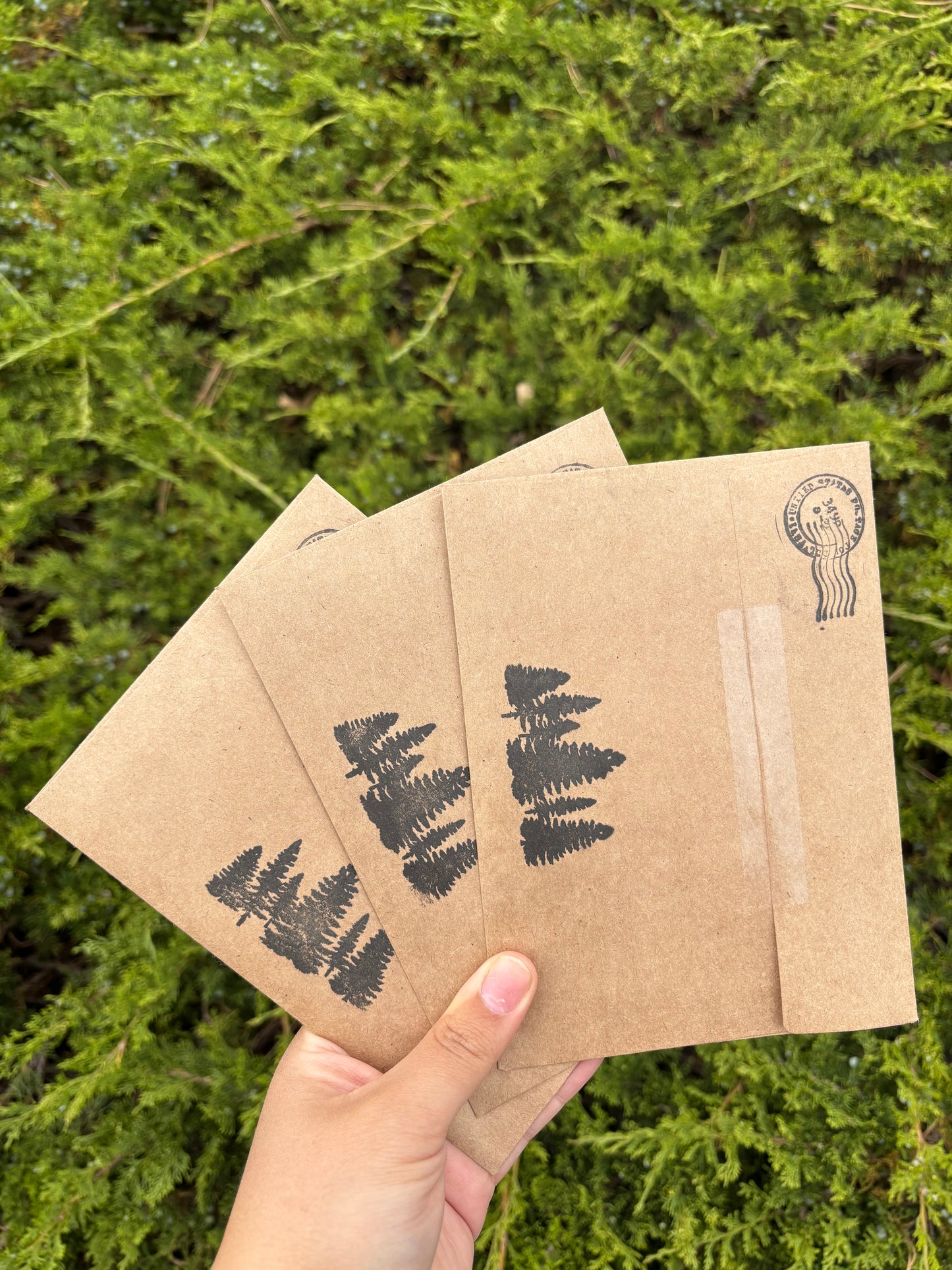 Pine Post (Sticker + Devotional Mail Club)