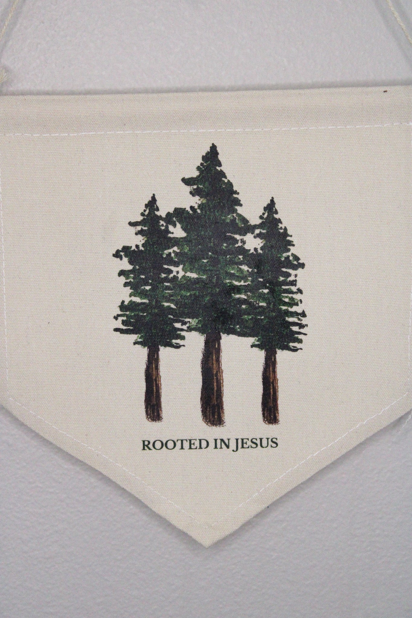 Rooted In Jesus Wall Decor